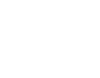 Squiggle One
